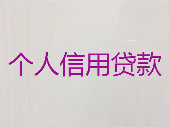 驻马店信用贷款